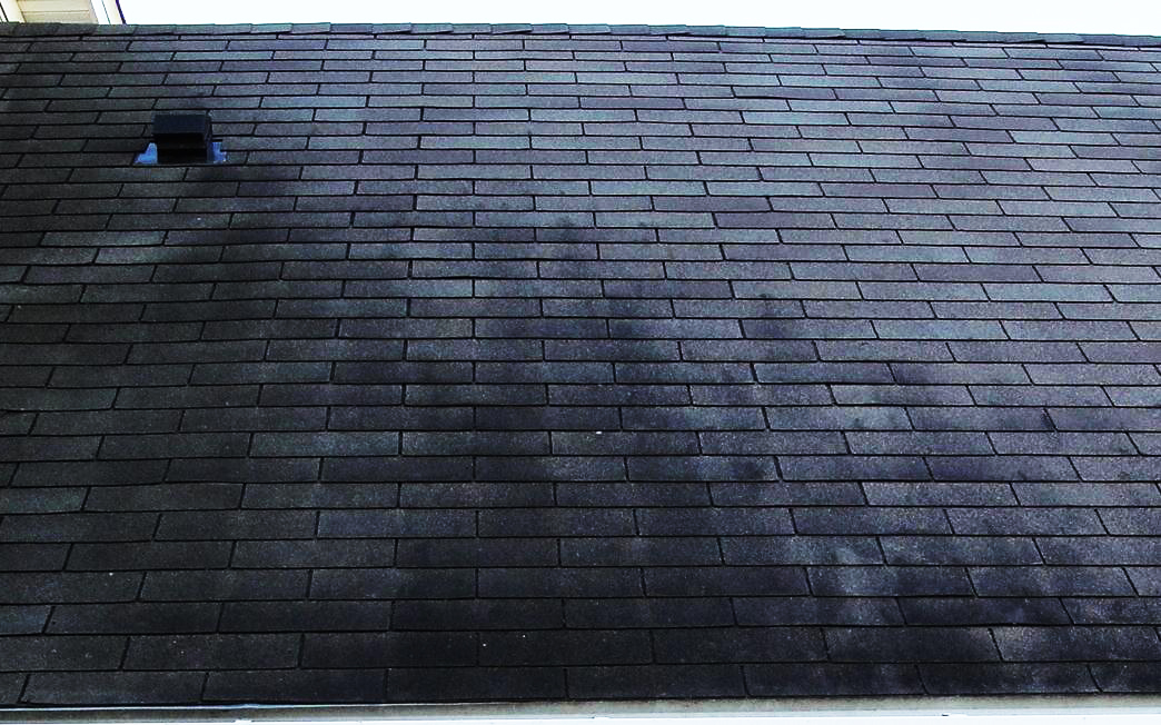 Why is there mold on my roof? Schroer & Sons Sidney, Lima, Columbus OH